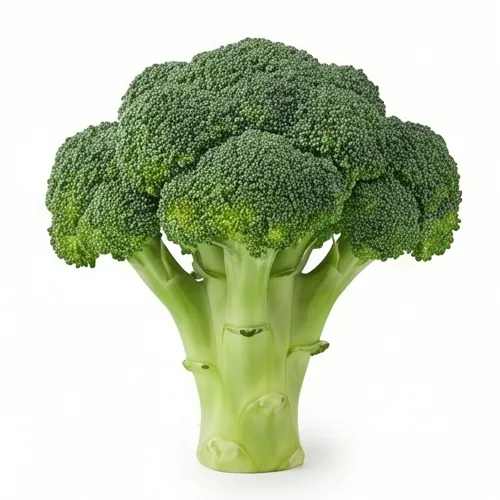 Broccoli