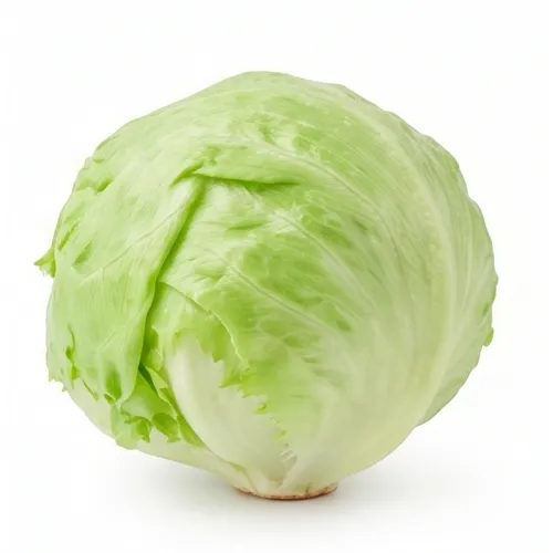 Iceberg lettuce