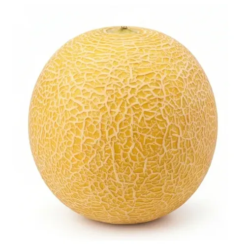 Melon
