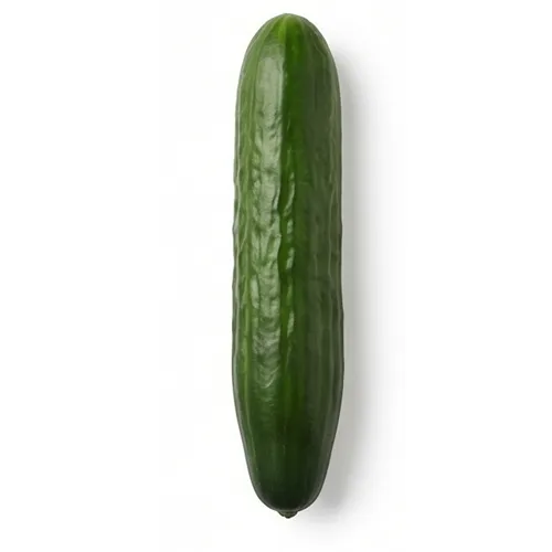 Cucumber